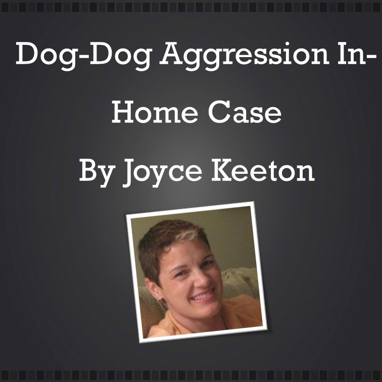 Joycedogdog-webinarJFbarebones