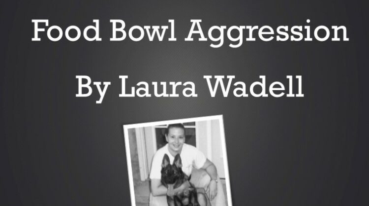 LauraWadellwebinarJFbarebones
