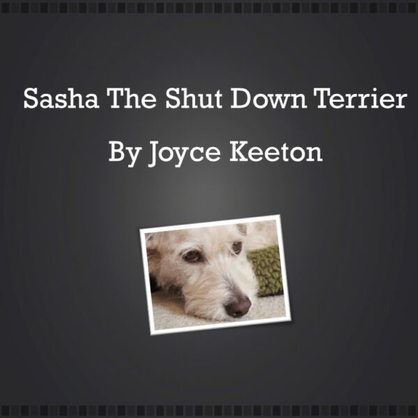 Sasha-Joyce